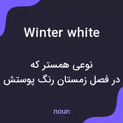 معنی winter white به فارسی معنی winter white به فارسی