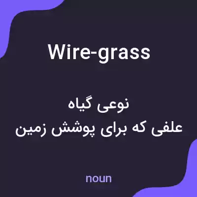معنی wire-grass به فارسی معنی wire-grass به فارسی