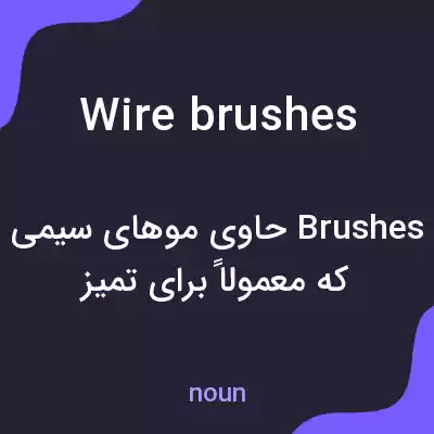 معنی wire brushes به فارسی