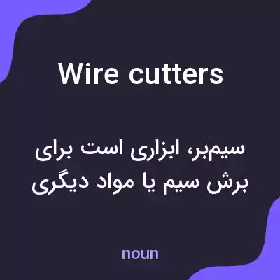معنی wire cutters به فارسی معنی wire cutters به فارسی