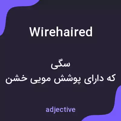 معنی wirehaired به فارسی معنی wirehaired به فارسی