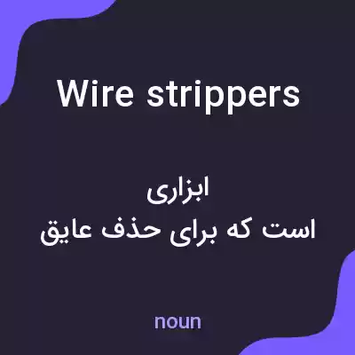 معنی wire strippers به فارسی معنی wire strippers به فارسی