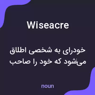 معنی wiseacre به فارسی معنی wiseacre به فارسی