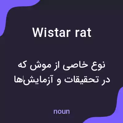 معنی wistar rat به فارسی معنی wistar rat به فارسی