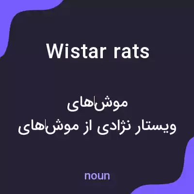 معنی wistar rats به فارسی معنی wistar rats به فارسی