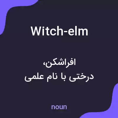 معنی witch-elm به فارسی معنی witch-elm به فارسی