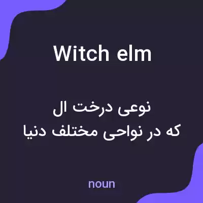 معنی witch elm به فارسی معنی witch elm به فارسی