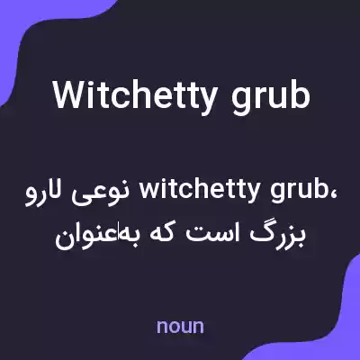 معنی witchetty grub به فارسی معنی witchetty grub به فارسی