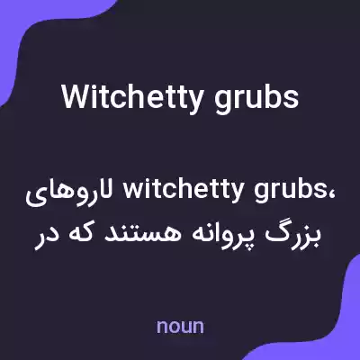 معنی witchetty grubs به فارسی معنی witchetty grubs به فارسی