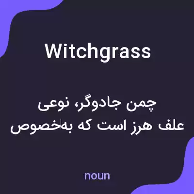 معنی witch grass به فارسی معنی witch grass به فارسی