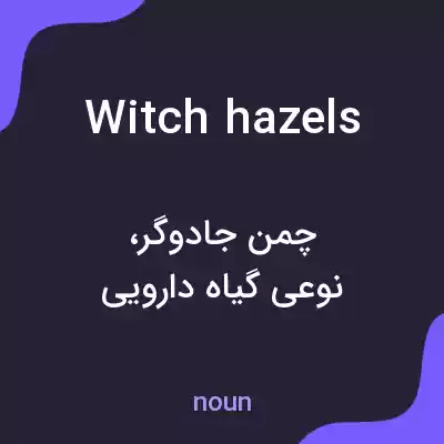 معنی witch hazels به فارسی معنی witch hazels به فارسی