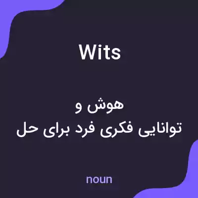 معنی wits به فارسی