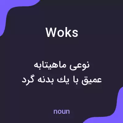 معنی woks به فارسی معنی woks به فارسی