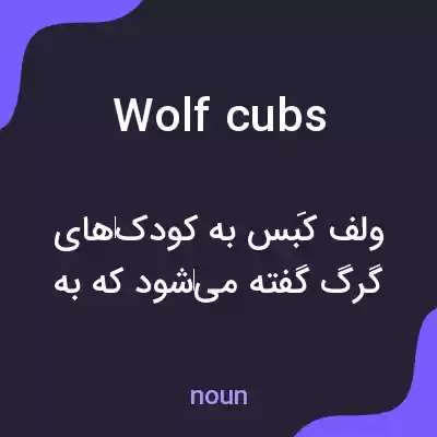 معنی wolf cubs به فارسی معنی wolf cubs به فارسی