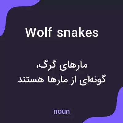 معنی wolf snakes به فارسی معنی wolf snakes به فارسی