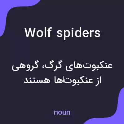 معنی wolf spiders به فارسی معنی wolf spiders به فارسی