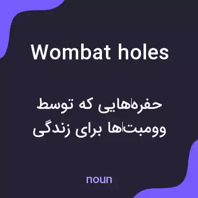 معنی wombat holes به فارسی معنی wombat holes به فارسی