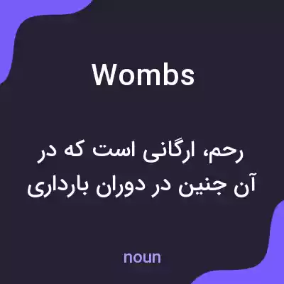 معنی wombs به فارسی معنی wombs به فارسی