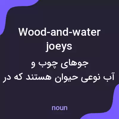 معنی wood-and-water joeys به فارسی معنی wood-and-water joeys به فارسی