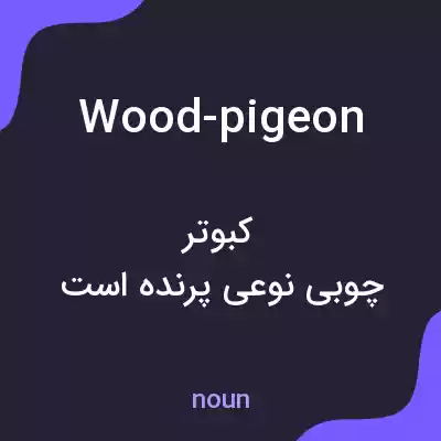 معنی wood-pigeon به فارسی معنی wood-pigeon به فارسی