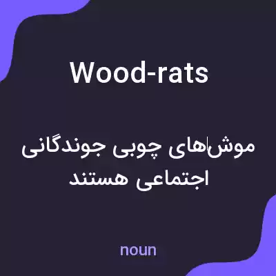 معنی wood-rats به فارسی
