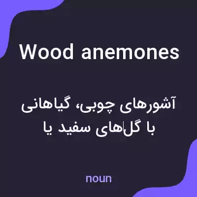 معنی wood anemones به فارسی معنی wood anemones به فارسی