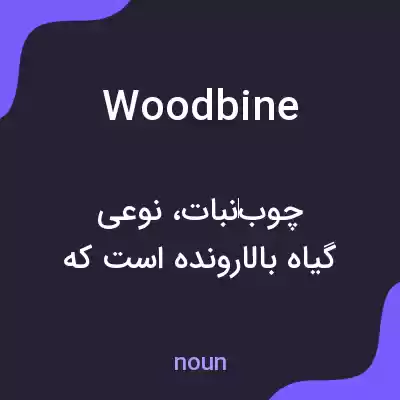 معنی woodbine به فارسی معنی woodbine به فارسی