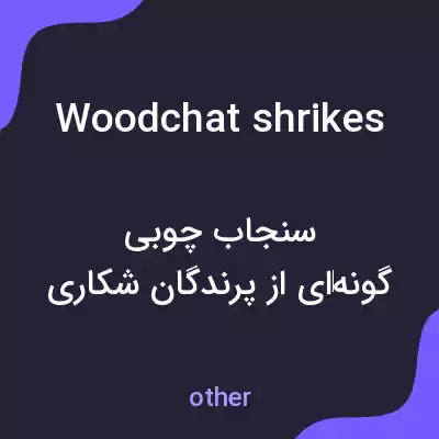 معنی woodchat shrikes به فارسی معنی woodchat shrikes به فارسی