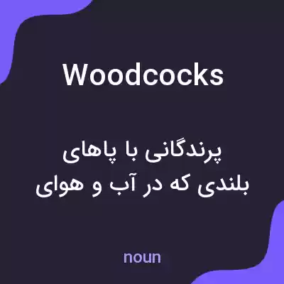 معنی woodcocks به فارسی معنی woodcocks به فارسی