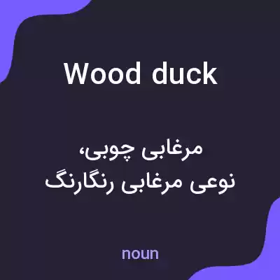 معنی wood duck به فارسی معنی wood duck به فارسی