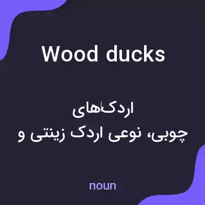 معنی wood ducks به فارسی معنی wood ducks به فارسی