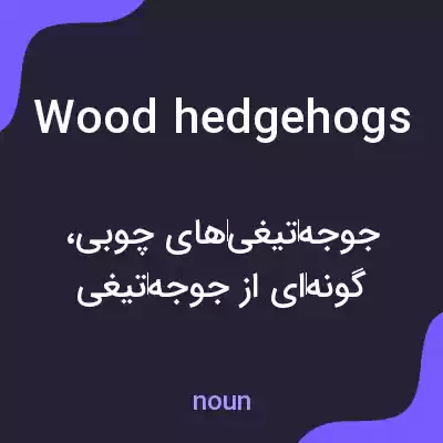 معنی wood hedgehogs به فارسی معنی wood hedgehogs به فارسی