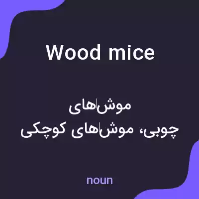 معنی wood mice به فارسی معنی wood mice به فارسی