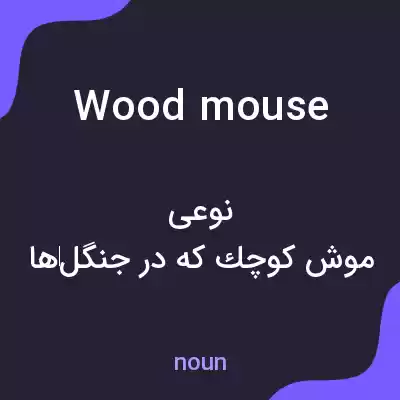 معنی wood mouse به فارسی معنی wood mouse به فارسی