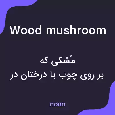 معنی wood mushroom به فارسی معنی wood mushroom به فارسی