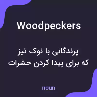 معنی woodpeckers به فارسی معنی woodpeckers به فارسی