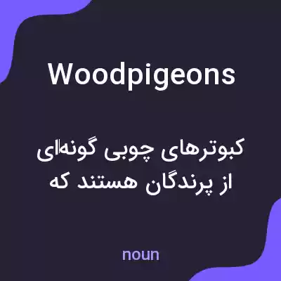 معنی wood pigeons به فارسی معنی wood pigeons به فارسی