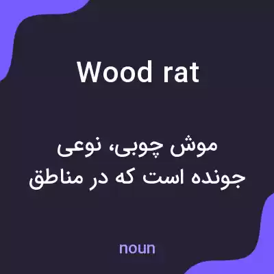 معنی wood rat به فارسی معنی wood rat به فارسی