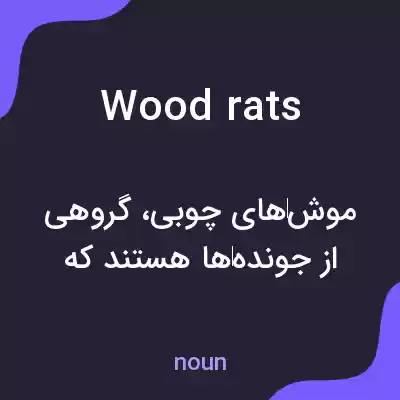 معنی woodrats به فارسی
