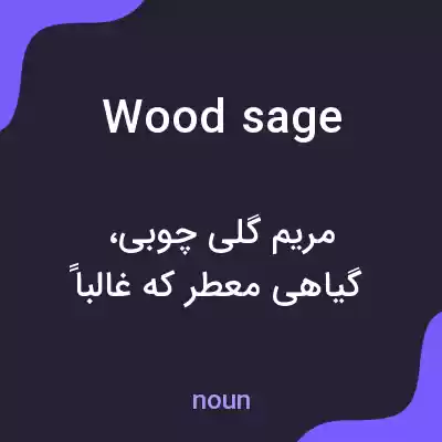 معنی wood sage به فارسی معنی wood sage به فارسی