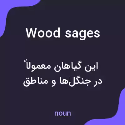 معنی wood sages به فارسی معنی wood sages به فارسی