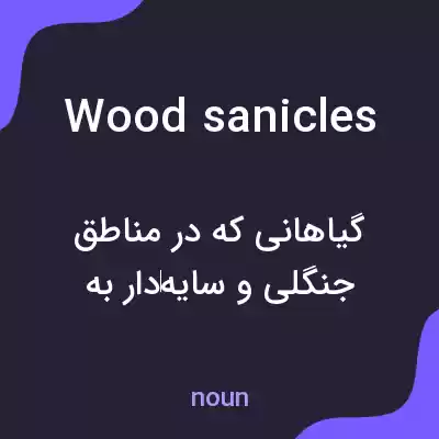 معنی wood sanicles به فارسی معنی wood sanicles به فارسی