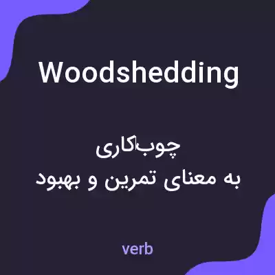 معنی woodshedding به فارسی معنی woodshedding به فارسی