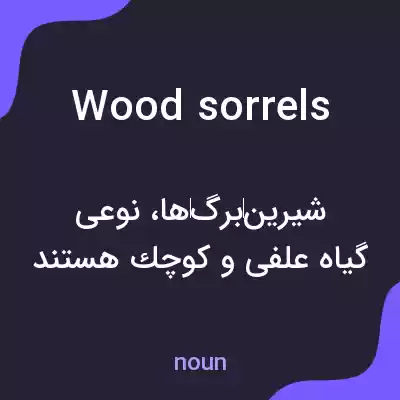 معنی wood sorrels به فارسی معنی wood sorrels به فارسی