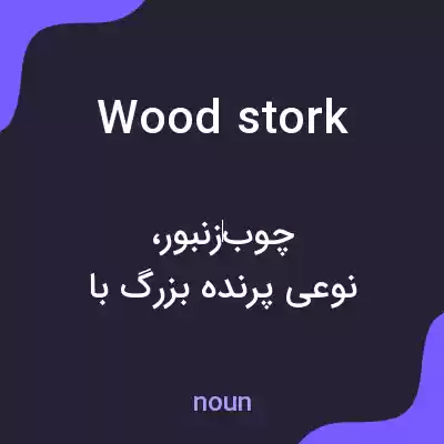 معنی wood stork به فارسی