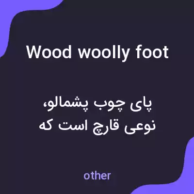 معنی wood woolly foot به فارسی معنی wood woolly foot به فارسی