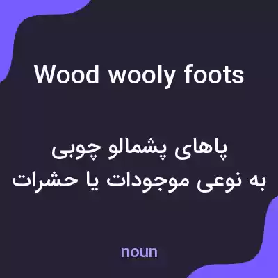 معنی wood wooly foots به فارسی معنی wood wooly foots به فارسی