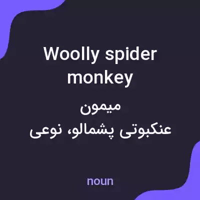 معنی woolly spider monkey به فارسی معنی woolly spider monkey به فارسی