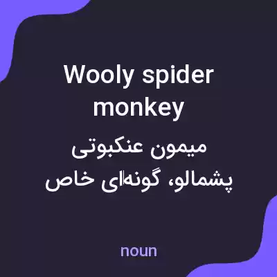 معنی wooly spider monkey به فارسی معنی wooly spider monkey به فارسی