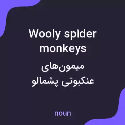 معنی wooly spider monkeys به فارسی معنی wooly spider monkeys به فارسی